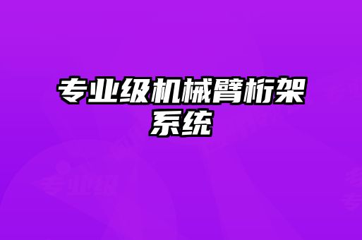 專業(yè)級機(jī)械臂桁架系統(tǒng)