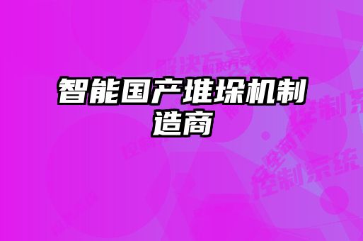 智能國(guó)產(chǎn)堆垛機(jī)制造商