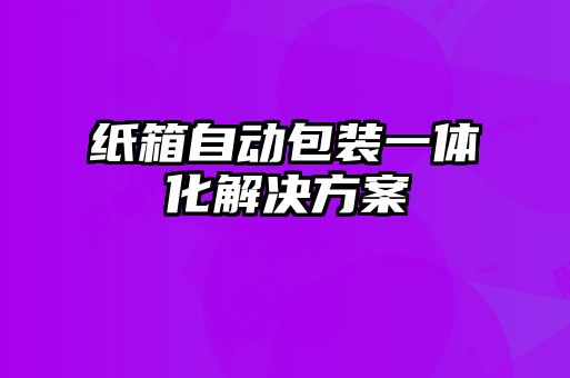 紙箱自動(dòng)包裝一體化解決方案