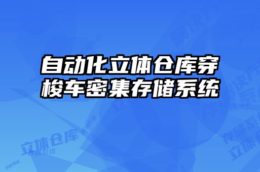 自動化立體倉庫穿梭車密集存儲系統(tǒng)