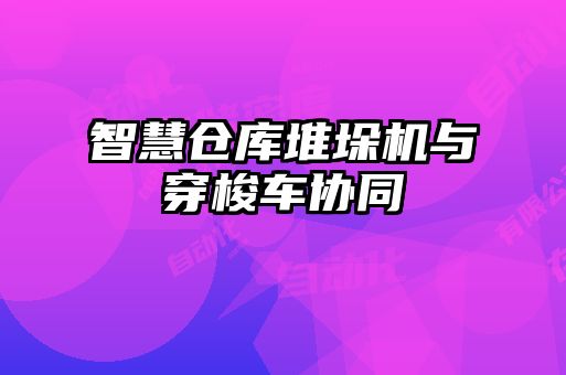 智慧倉庫堆垛機(jī)與穿梭車協(xié)同