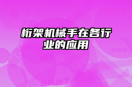 桁架機械手在各行業(yè)的應用