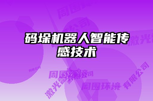碼垛機器人智能傳感技術(shù)