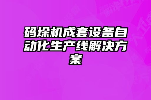 碼垛機成套設備自動化生產(chǎn)線解決方案