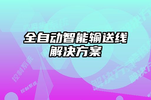 全自動(dòng)智能輸送線(xiàn)解決方案