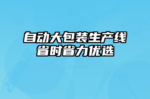 自動大包裝生產線省時省力優(yōu)選