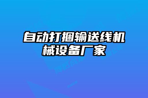 自動打捆輸送線機械設(shè)備廠家