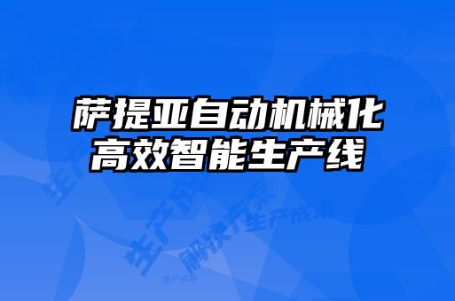 薩提亞自動(dòng)機(jī)械化高效智能生產(chǎn)線(xiàn)