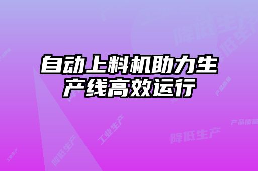 自動上料機(jī)助力生產(chǎn)線高效運(yùn)行