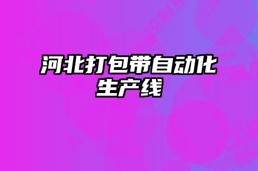 河北打包帶自動化生產線
