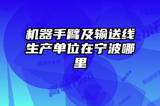 機(jī)器手臂及輸送線(xiàn)生產(chǎn)單位在寧波哪里
