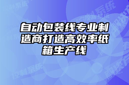 自動(dòng)包裝線專(zhuān)業(yè)制造商打造高效率紙箱生產(chǎn)線