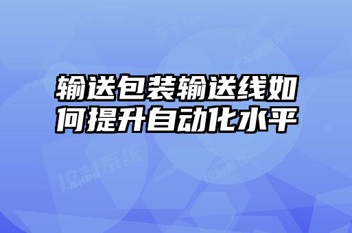 輸送包裝輸送線如何提升自動(dòng)化水平