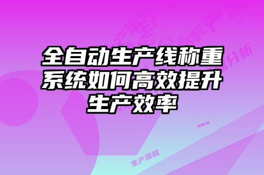 全自動(dòng)生產(chǎn)線(xiàn)稱(chēng)重系統(tǒng)如何高效提升生產(chǎn)效率