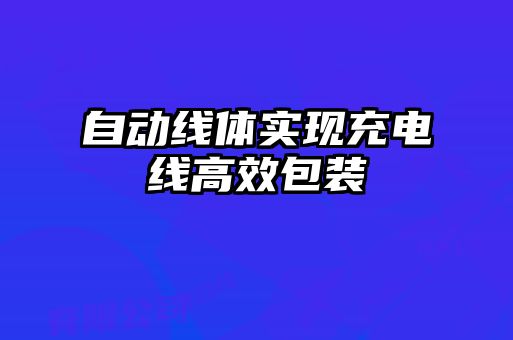 自動線體實現(xiàn)充電線高效包裝