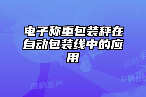 電子稱重包裝秤在自動(dòng)包裝線中的應(yīng)用