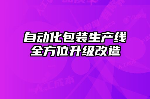 自動化包裝生產(chǎn)線全方位升級改造