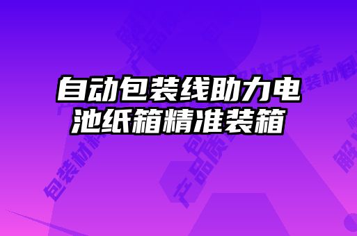 自動包裝線助力電池紙箱精準(zhǔn)裝箱