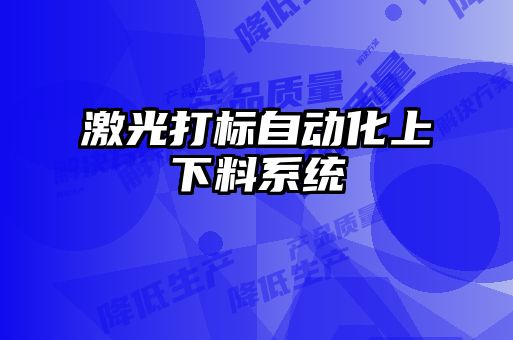 激光打標自動化上下料系統(tǒng)