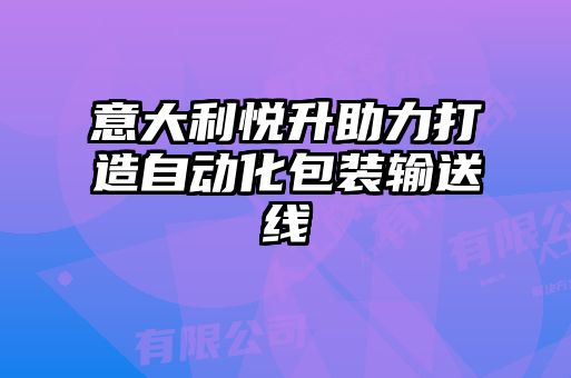 意大利悅升助力打造自動(dòng)化包裝輸送線