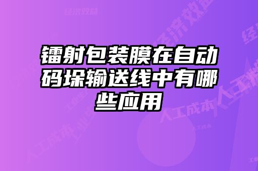 鐳射包裝膜在自動碼垛輸送線中有哪些應(yīng)用