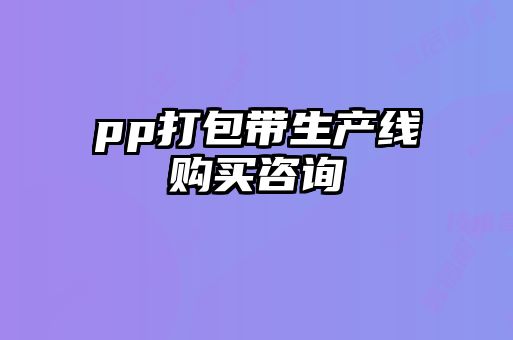 pp打包帶生產(chǎn)線購(gòu)買(mǎi)咨詢